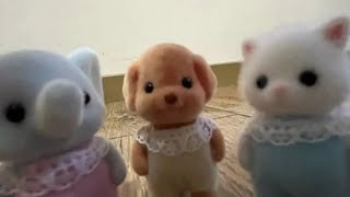 Intermediate Grammar Midterm Project 