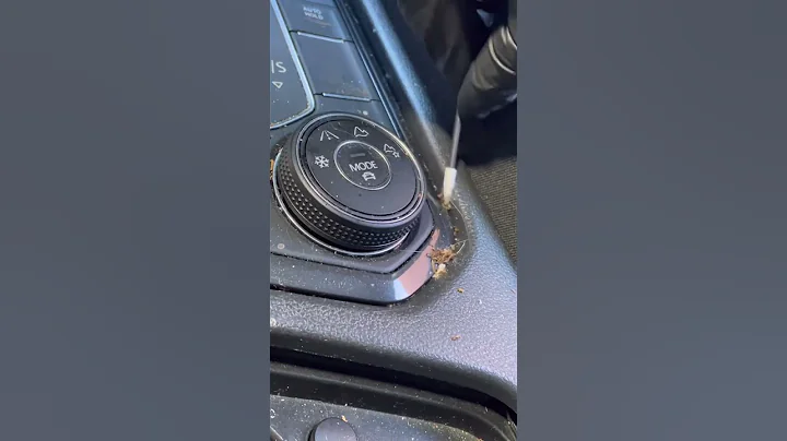 Precision ASMR Detailing- #shorts #satisfying #asmr