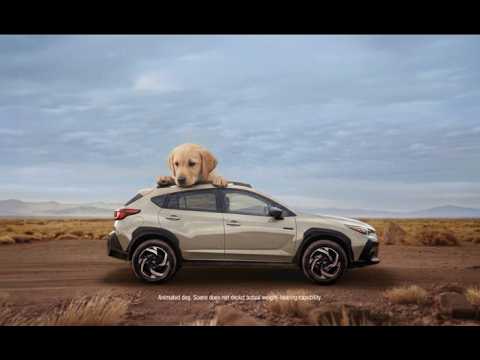 "AMOR EN GRANDE POR EL SUBARU CROSSTREK HYBRID" :15 SUBARU | CONSUMER REPORTS