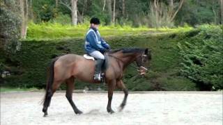 charlie10092011.wmv