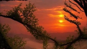 Statistics modeling and Finance chapter 1 statistics pages 39–40 clearing/storage registers￼