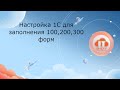 Настройка базы 1С для заполнения 200,300,100 форм налоговой отчетности