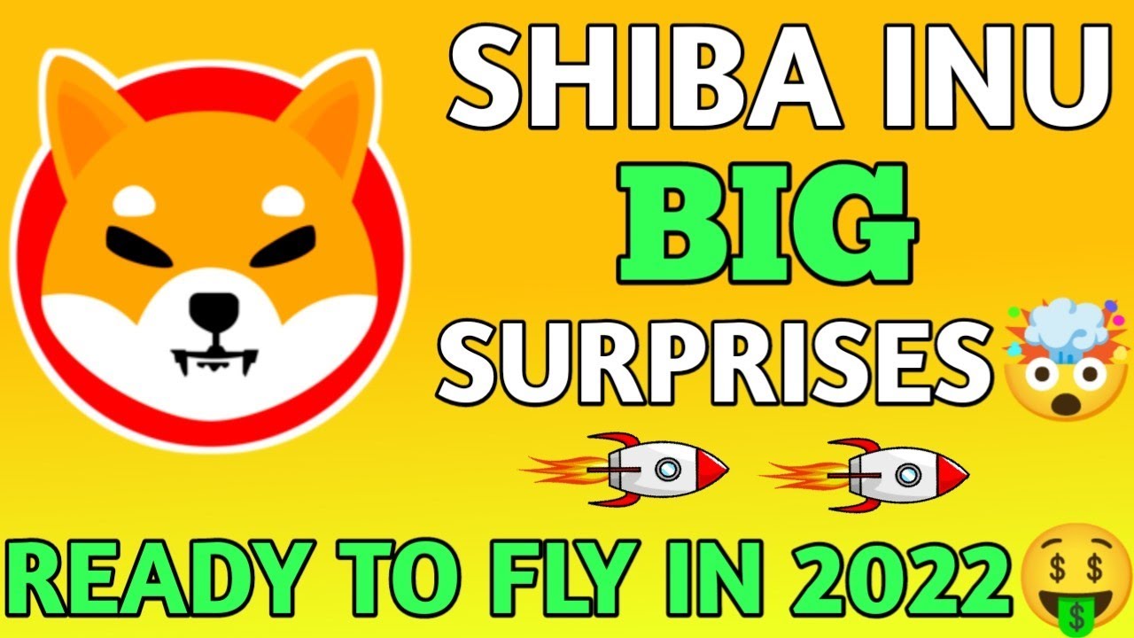 BIG SURPRISE SHIBA INU BIG UPDATE SHIBA HIT 1 big-surprise-shiba-inu-big-update-shiba-hit-1