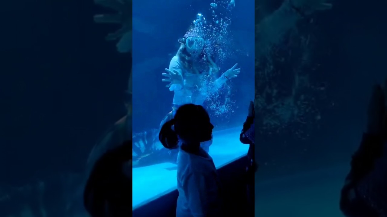 kashmir jalakanya exhibition at guntur 