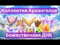 Коллектив Архангелов: Божественная ДНК