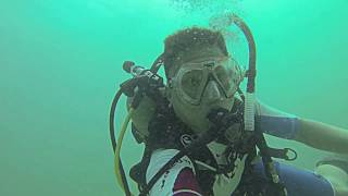 bahrain dive fish colorful 08232013