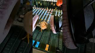 I think he liked it 👊 #musicproducer #cute #chicken