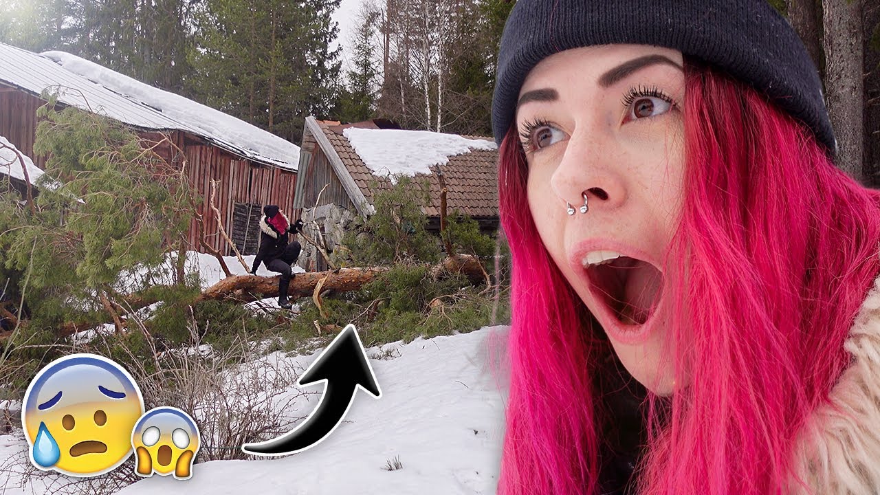 TRÄDET FÖLL PÅ LADAN 😱