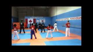 Harlem Shake -Peel T.K.D demo team