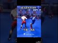     كونغ فو ساندا تقنيات 