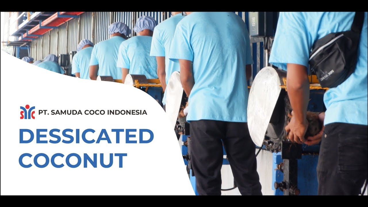 Sacumuda Company Profile PT Samuda Coco Indonesia - YouTube