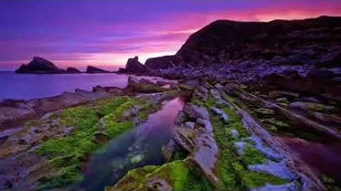 القارئ المبدع إسلام صبحي الحنجرة الذهبية 2020