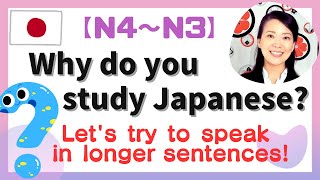 How To Answer Why Do You  Study Japaneselets Try To Speak In Longer Sentencesn4n3