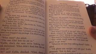 The Hardy Boys #1, The Tower Treasure, Part 2.