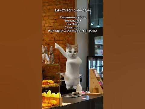 Заказывают только авторские напитки #бариста #юмор #кофе #memes # ...