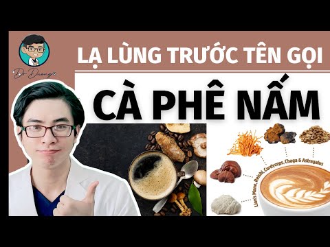 Video: Các Chất Có Lợi Trong Nấm Là Gì