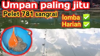 Sadis..‼️Umpan ikan mas pelet 781 sangrai dari pagi sampai sore tetap gacor