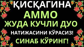 Кискагина Аммо Жуда Кучли Дуо! Дуолар