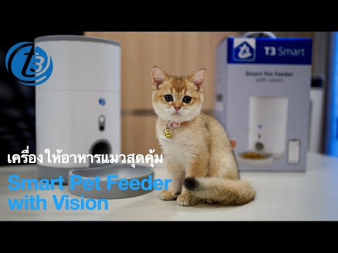 T3 Smart Pet Feeder with Vision รีวิว! เครื่องให้อาหารแมวสุดคุ้ม!
