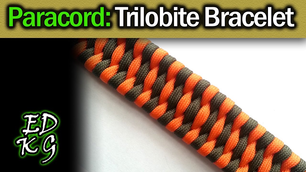 Trilobite paracord bracelet - Paracord guild