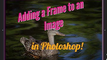 Adding a Frame to an Image in Photoshop using the Picture Frame filter [CC]