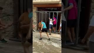 Susto vaca en Portell de Morella