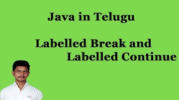 Labelled Break and  Labelled Continue  || Java in Telugu || Mr.Sivarao