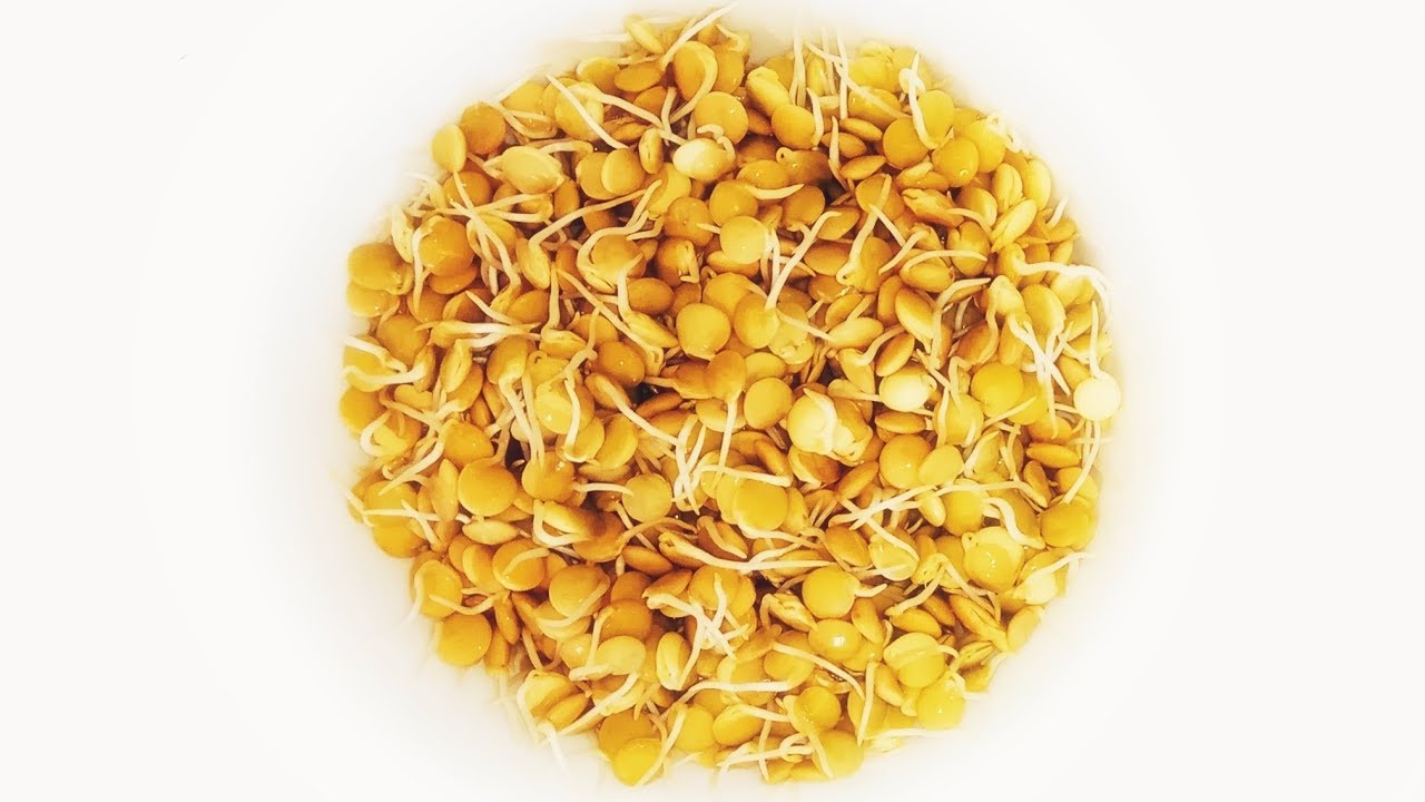 Spraud How to Make Sprouts in 1 Minute! - Sigue La Inspiracion - YouTube