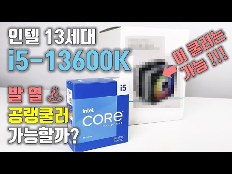 13600K에 이 공랭쿨러를 사용하시면 가장 저렴하게 발열을 해결할 수 있습니다.(DEEPCOOL AG620)