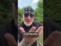 Trump’s Ridiculous UFC Vanity Project