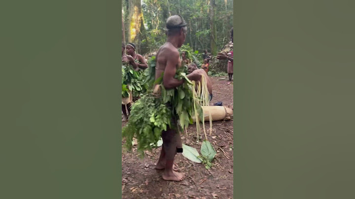La danza de los Pigmeos Baka #inspirationofafrica