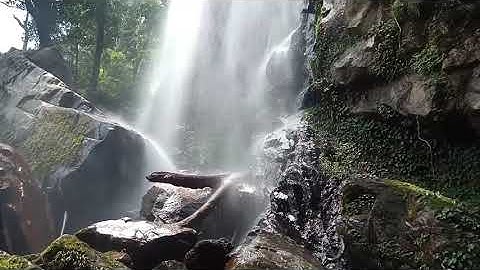 Khám Phá Cảnh Quan Thiên Nhiên Rừng  Núi Tây Bắc | Con Của Rừng