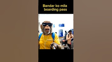 Bandar ka funny vlog in airport | Ai monkey video veo 3 #shorts #funny #vlog