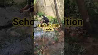 #nutrition #viral #viralvideo #shortvideo #youtubeshorts #education #school