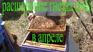 Расширение гнезда пчел весной - семьи середнячки