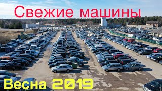 Цены на свежие машины. Литва. Весна 2019