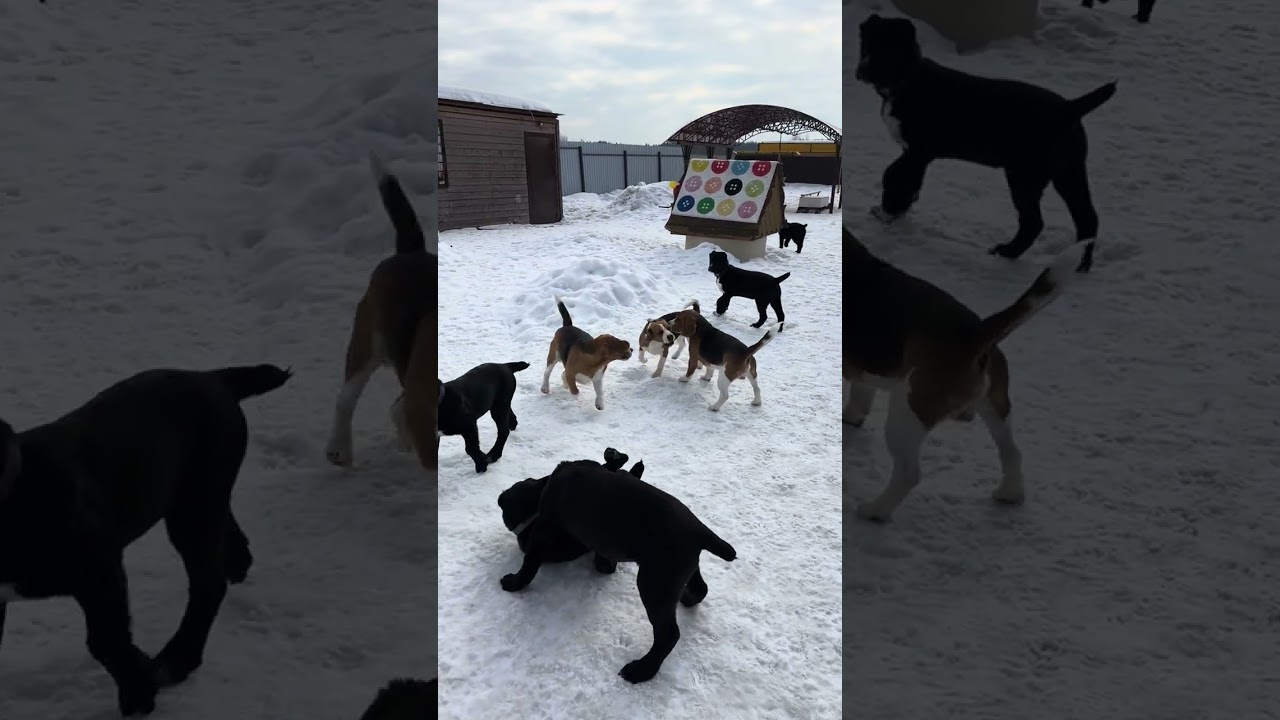 Хорошие родители за хорошим малышом🥰