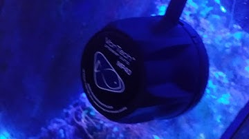 Mp40 quiet drive noise