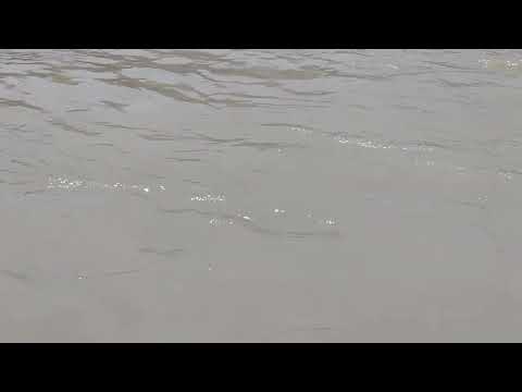 Ganga Clean Water Rishikesh