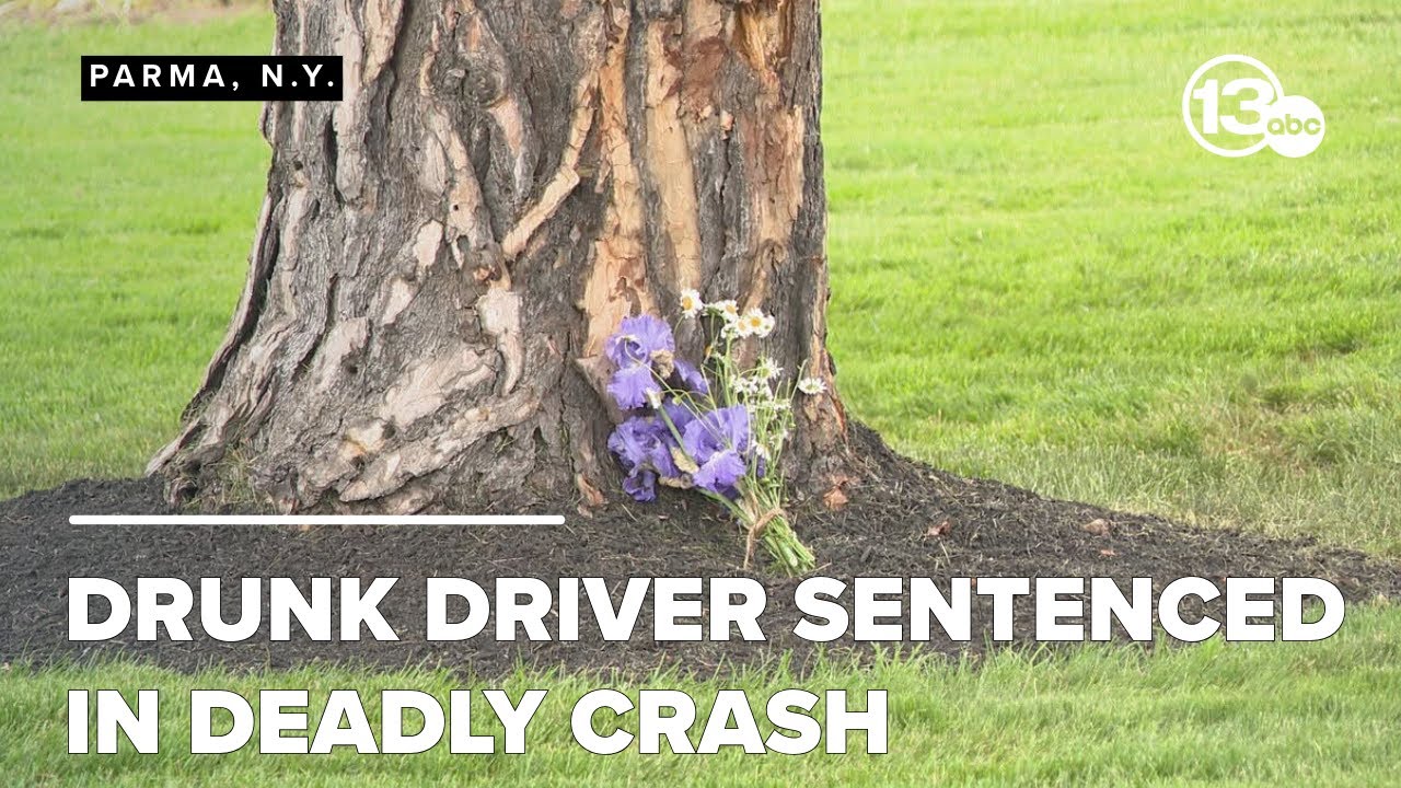 Man sentenced for drunk driving crash that killed teen waiting outside ...