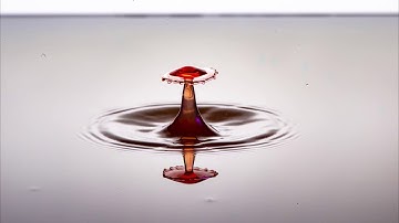 Water Drop Photography - A time-lapse animation