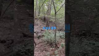 #청설모 #힐링 #등산