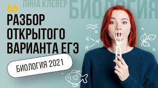 Разбор открытого варианта ЕГЭ   | БИОЛОГИЯ ЕГЭ | Лина Клевер