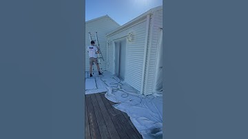 Pro Paint Spraying.    #painting #howto #painter #home