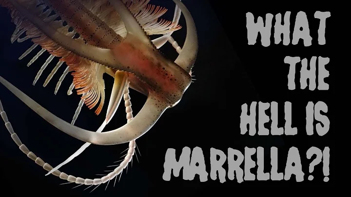 What the Hell is Marrella?!