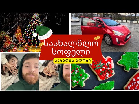 კახეთის ვლოგი ⭐️ ჩემი ეზო 🎄🎊⭐️💖