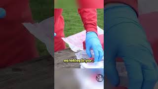 C4 Bombasını Yemek Mi ?