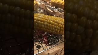 IMG 0769