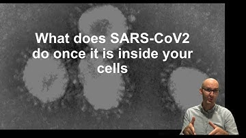What does SARS-CoV2 (COVID19) do once it is inside your cells?