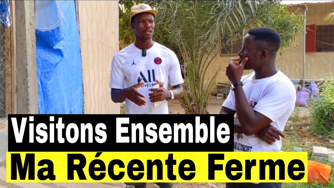 Rentabilité en élevage de poules pondeuses : Anarque ou Vérité ?